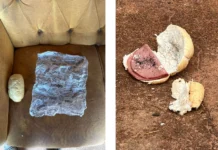 “Pão da morte”: idoso de 62 anos envenena enteado com chumbinho e é preso