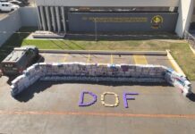 DOF registra 2ª maior apreensão da história e causa prejuízo de R$ 700 milhões ao crime