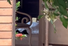 Uma vida perdida a cada 24 horas: Mato Grosso do Sul soma 106 assassinatos em 86 dias